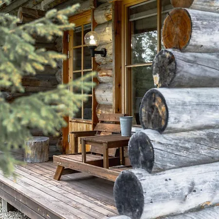 Cozy Log In Levi - Sauna & Front Slopes View *